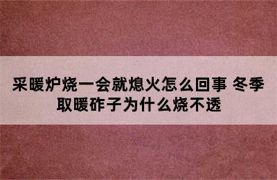 采暖炉烧一会就熄火怎么回事 冬季取暖砟子为什么烧不透